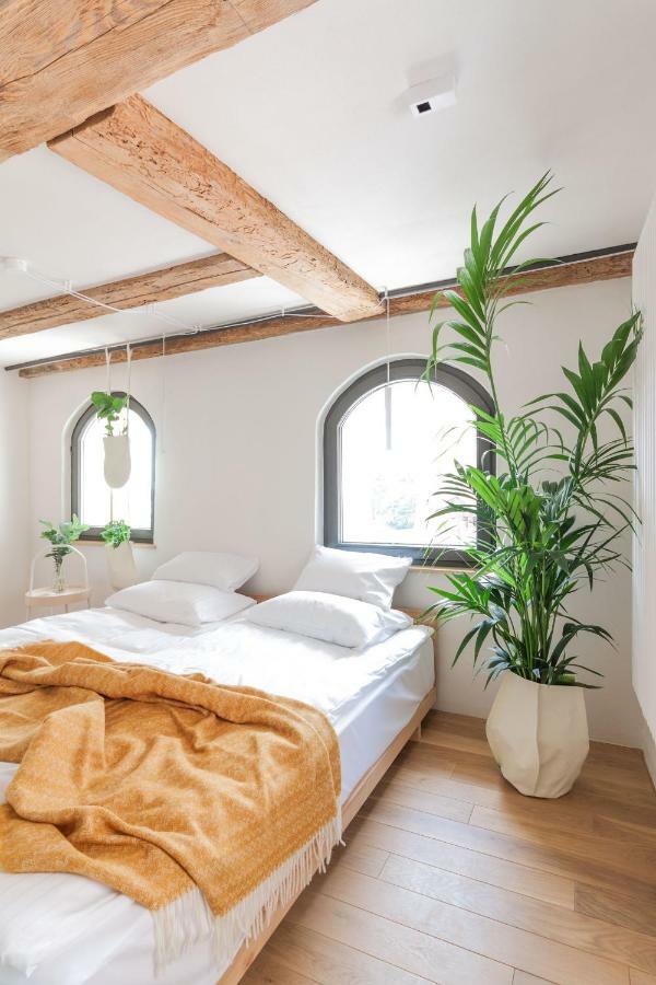 Apartamenty Monka Stary Toruń Exterior foto